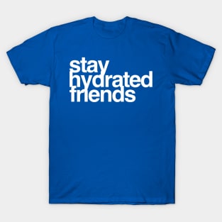 Stay Hydrated Friends T-Shirt